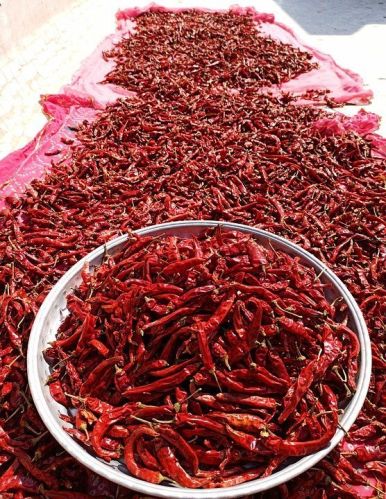 Common Red Chilli, For Food, Making Pickles, Powder, Style : Dried