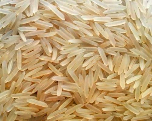 Hard Natural 1509 Golden Basmati Rice, For Cooking, Variety : Medium Grain
