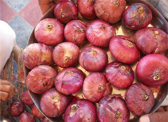 Natural Balwan Onion, For Human Consumption, Packaging Size : 50-100 Kg