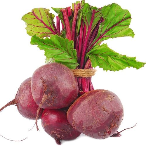 Organic Beetroot, For Cooking, Salad, Feature : Healthy