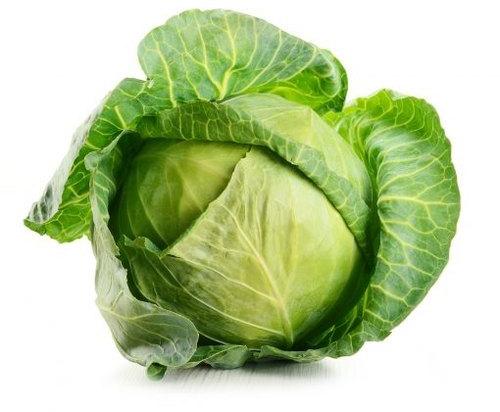 Organic Cabbage, For Pesticide Free ( Raw Products)