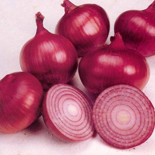 Organic Onion, For Cooking, Human Consumption, Style : Fresh