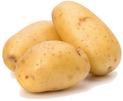 Organic Potato, For Cooking, Style : Fresh
