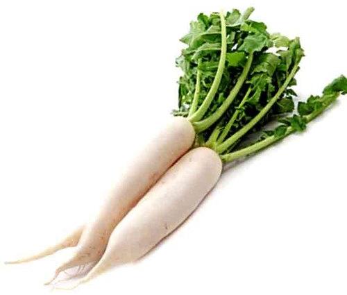 Organic Radish