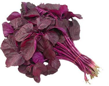 Organic Red Amaranth Leaves, For Cooking