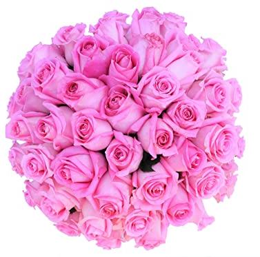 Organic Fresh Pink Rose Flowers, Occasion : Birthday, Festivals, Wedding