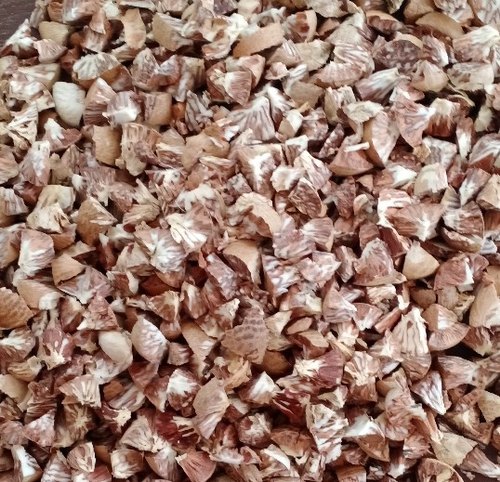 Betel Nut 14mm Supari Granules, Packaging Type : Packet