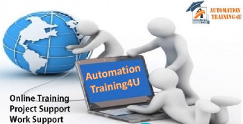 Automation Online Training