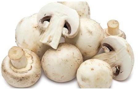 Common Fresh Mushroom, For Cooking