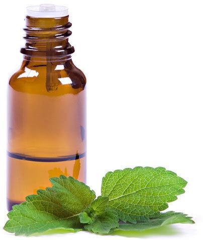 Menthol Essential Oil, Form : Liquid