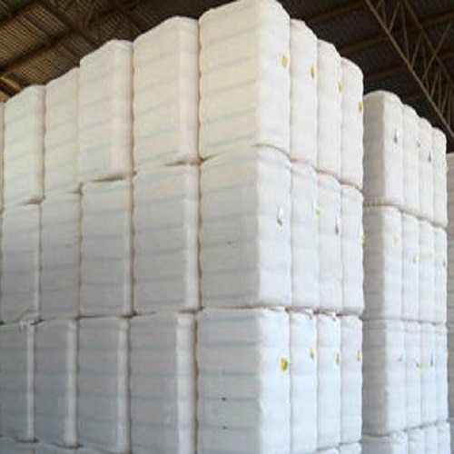 Shankar Gujarat Plain Raw Cotton Bales, Technics : Yarn Dyed