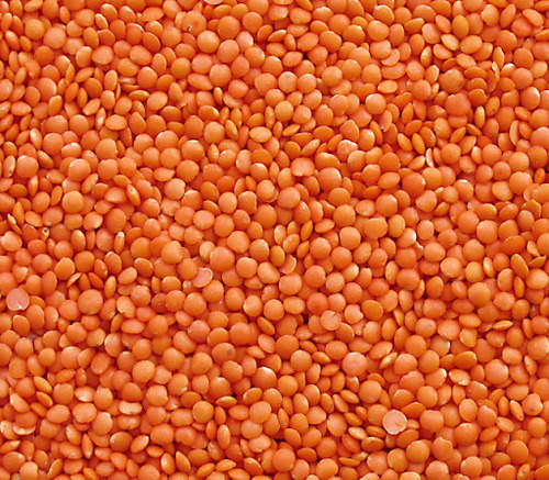 Natural Red Lentils, Shelf Life : 1year