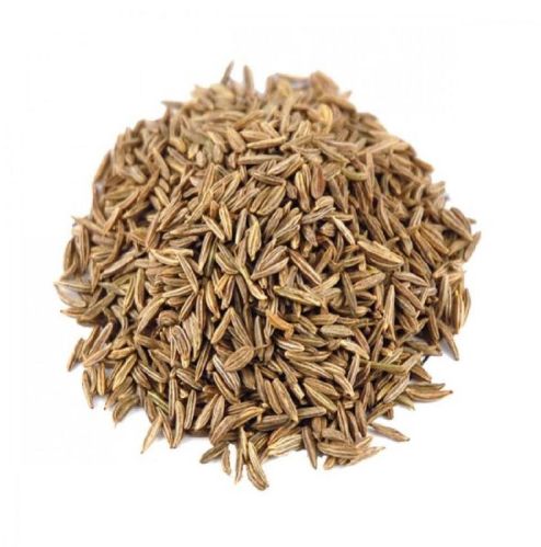 Organic Caraway Seeds, For Cooking, Certification : FSSAI Certified