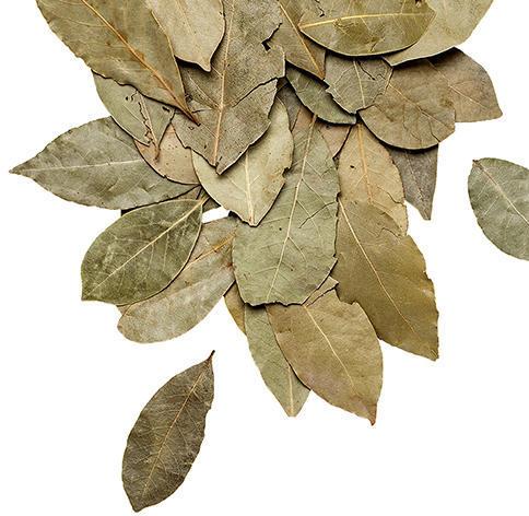 Dried Bay Leaves