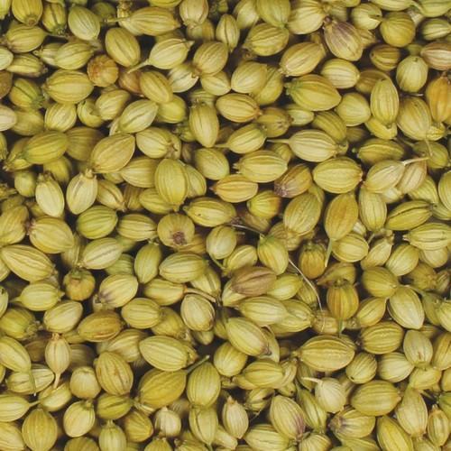 India Coriander Seeds, For Cooking, Spices, Certification : FSSAI Certified