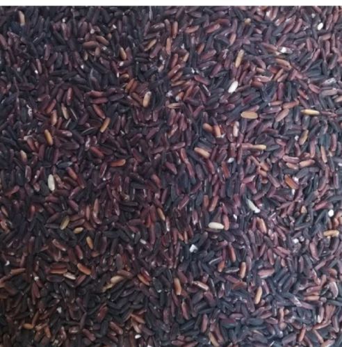 Pure Natural Organic Black Rice