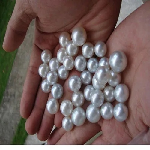 South Sea Pearl, Color : White