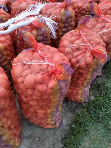 Premium Fine Quality Onion 5, Packaging Type : Red, White