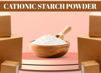 Cationic Starch Powder