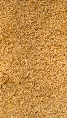Brown Rice Husk