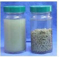 Flocculating Agents, For Industrial Use