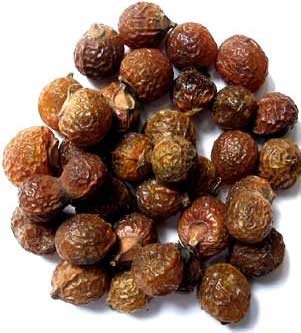 Dried Soap Nuts, Packaging Type : PP Packets