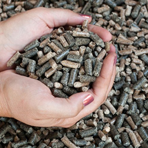 Biomass Pellets