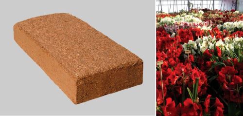 Cocopeat Coir Briquettes, For Growing Plants, Color : Brown