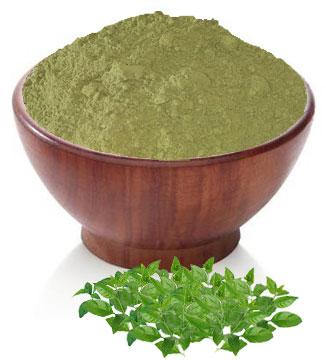 Indigo Henna Powder