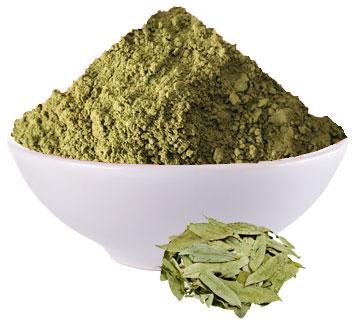 Natural Senna Leaves Powder, Packaging Size : 100gm, 250gm, 500gm, 1 Kgs, 5 Kgs, 20 Kgs, 25 Kgs