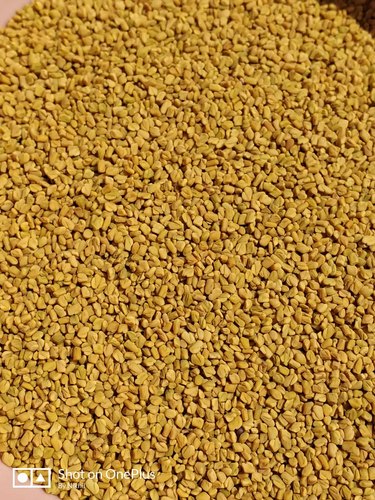 Fenugreek Seed, Packaging Size : 50g