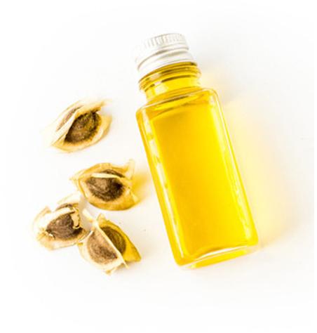 Moringa Seeds Oil