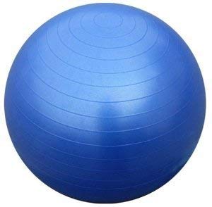 Round 55cm Gym Ball, Feature : Accurate Dimensions, Light Weight, Quality Assured