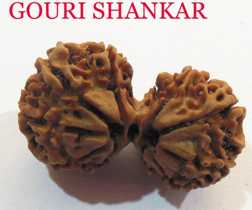 Gauri Shankar Rudraksh