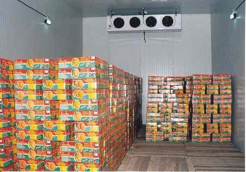 Mango Ripening Chamber