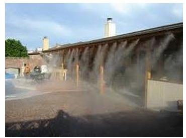 Automatic Misting System