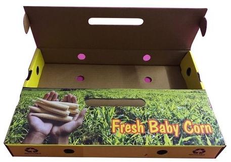 Paper Fruit Packaging Box, Size : 12x12x5 Inch