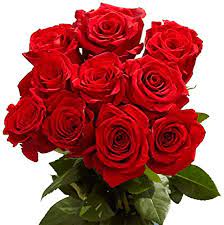 Organic Fresh Red Rose, Feature : Natural Fragrance