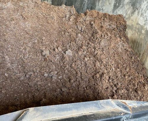 Amedeo Agro Creamy Button Mushroom Compost, Packaging Type : Plastic Bag, Plastic Container, Polythene Bag