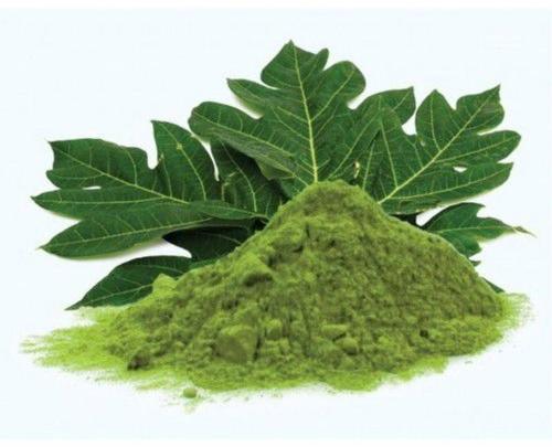 Organic Papaya Leaves Powder, Feature : Aromatic Fragrance