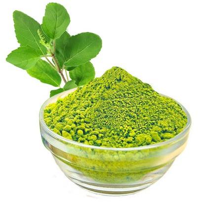 Organic Tulsi Powder, Color : Green