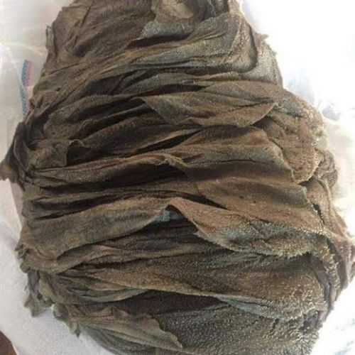 Buffalo Omasum, Feature : High Protein