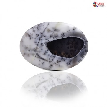 Oval Cabochon Dendrite Opal Stone