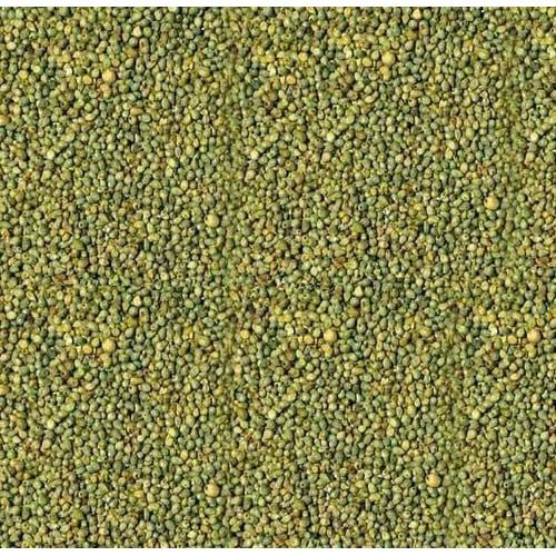 Green Pearl Millets, For High In Protein