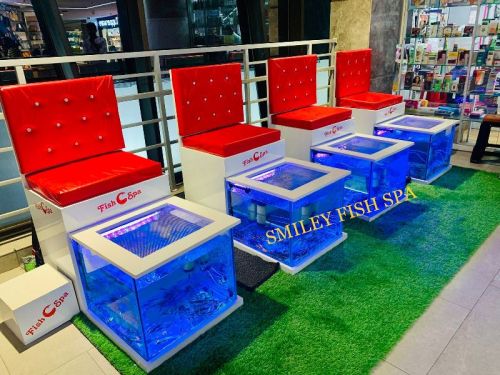 Fish Pedicure 2 Inch, Packaging Size : 10-20 Kg