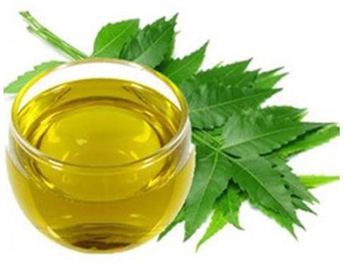 Neem Oil, Extraction Type : Solvent Extraction