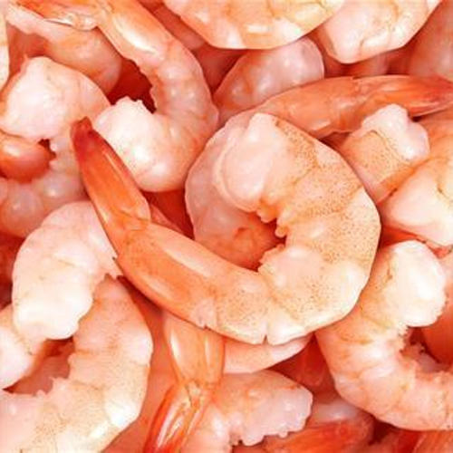 Frozen Prawn - PD 51/60, Variety : White Shrimp