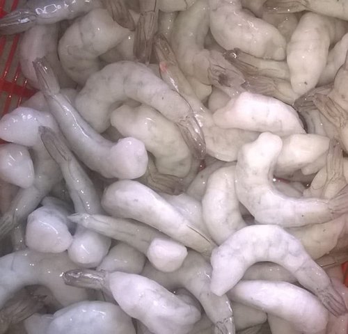 Frozen Prawn - PDTO 21/25, Packaging Type : Vaccum Packed