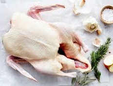 Frozen Whole Duck, For Human Consumption, Feature : Delicious Taste, Good In Protein