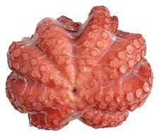 Frozen Whole Octopus, For Human Consumption, Feature : Delicious Taste., High Value